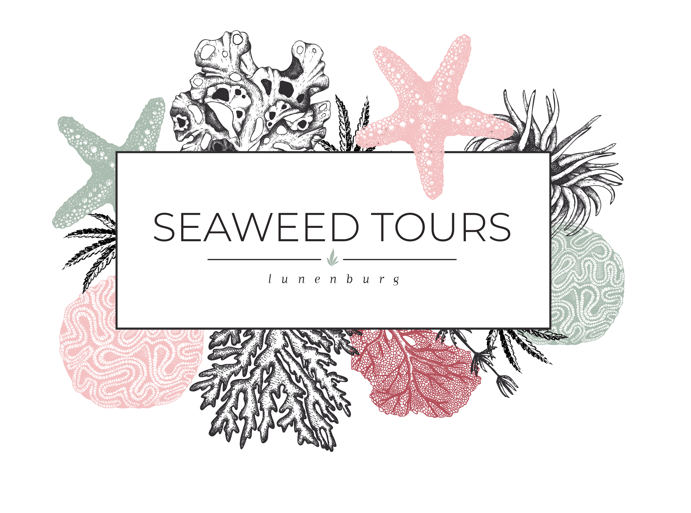 Seaweed Tours : Scenic Storytelling Tours Lunenburg, NS